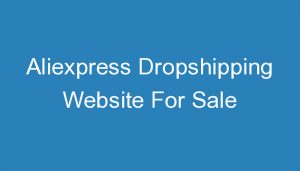 Read more about the article Aliexpress Dropshipping Website For Sale