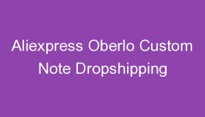 Read more about the article Aliexpress Oberlo Custom Note Dropshipping