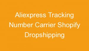 Read more about the article Aliexpress Tracking Number Carrier Shopify Dropshipping