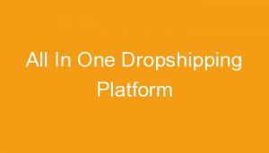 Read more about the article All In One Dropshipping Platform