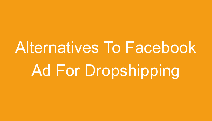 You are currently viewing Alternatives To Facebook Ad For Dropshipping
