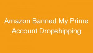 Read more about the article Amazon Banned My Prime Account Dropshipping