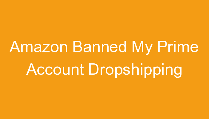 You are currently viewing Amazon Banned My Prime Account Dropshipping