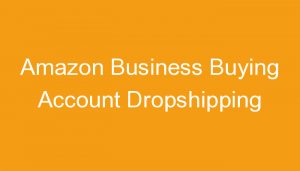Read more about the article Amazon Business Buying Account Dropshipping