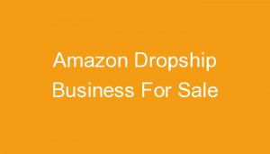 Read more about the article Amazon Dropship Business For Sale