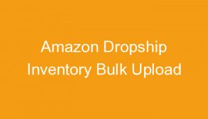 Read more about the article Amazon Dropship Inventory Bulk Upload