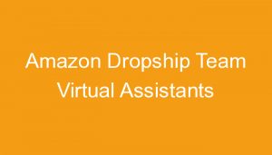 Read more about the article Amazon Dropship Team Virtual Assistants