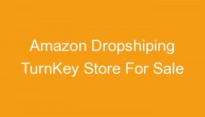 Read more about the article Amazon Dropshiping TurnKey Store For Sale