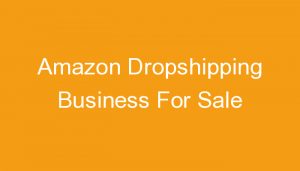 Read more about the article Amazon Dropshipping Business For Sale