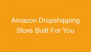 Read more about the article Amazon Dropshipping Store Built For You
