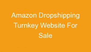 Read more about the article Amazon Dropshipping Turnkey Website For Sale
