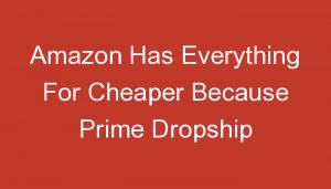 Read more about the article Amazon Has Everything For Cheaper Because Prime Dropship