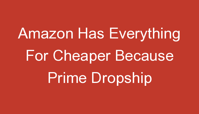 You are currently viewing Amazon Has Everything For Cheaper Because Prime Dropship