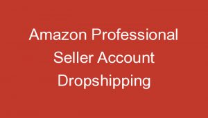 Read more about the article Amazon Professional Seller Account Dropshipping