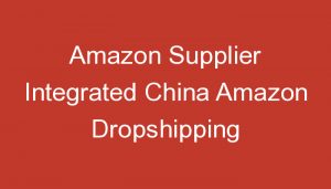 Read more about the article Amazon Supplier Integrated China Amazon Dropshipping