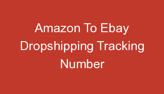 You are currently viewing Amazon To Ebay Dropshipping Tracking Number