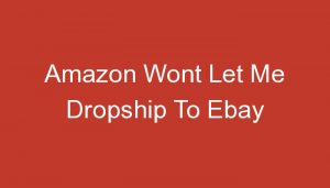 Read more about the article Amazon Wont Let Me Dropship To Ebay