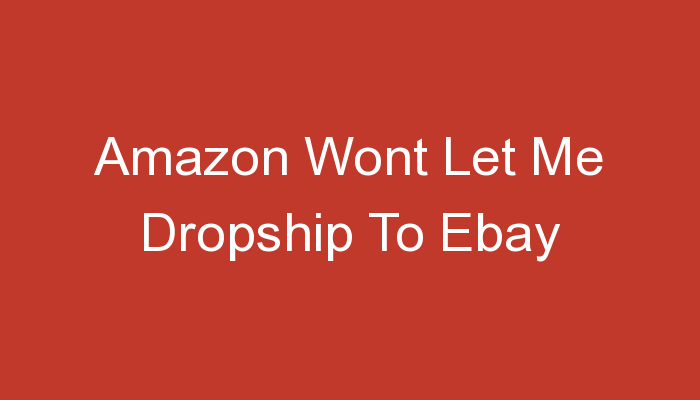 You are currently viewing Amazon Wont Let Me Dropship To Ebay
