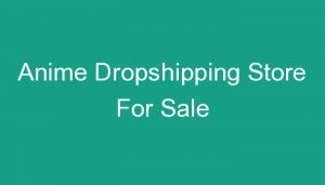 Read more about the article Anime Dropshipping Store For Sale
