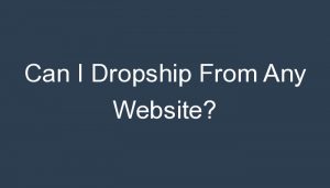 Read more about the article Can I Dropship From Any Website?