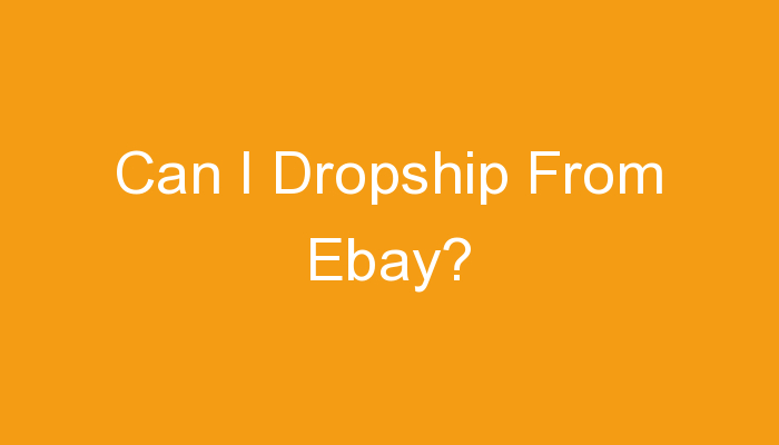 You are currently viewing Can I Dropship From Ebay?