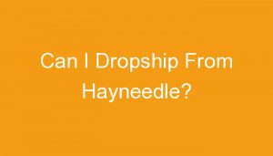 Read more about the article Can I Dropship From Hayneedle?