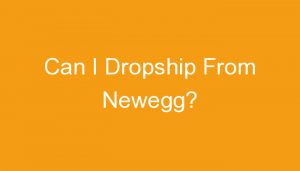 Read more about the article Can I Dropship From Newegg?