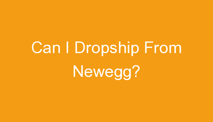 You are currently viewing Can I Dropship From Newegg?
