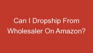 Read more about the article Can I Dropship From Wholesaler On Amazon?