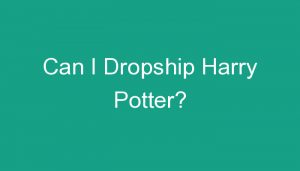 Read more about the article Can I Dropship Harry Potter?