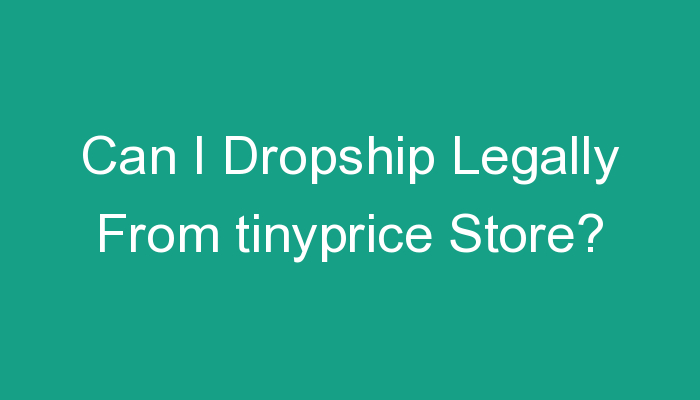 You are currently viewing Can I Dropship Legally From tinyprice Store?