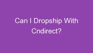 Read more about the article Can I Dropship With Cndirect?