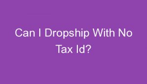 Read more about the article Can I Dropship With No Tax Id?