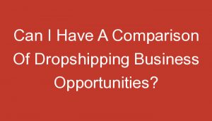 Read more about the article Can I Have A Comparison Of Dropshipping Business Opportunities?