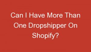 Read more about the article Can I Have More Than One Dropshipper On Shopify?