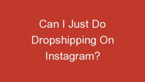 Read more about the article Can I Just Do Dropshipping On Instagram?