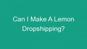 Read more about the article Can I Make A Lemon Dropshipping?