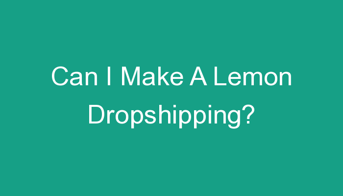 You are currently viewing Can I Make A Lemon Dropshipping?
