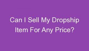 Read more about the article Can I Sell My Dropship Item For Any Price?