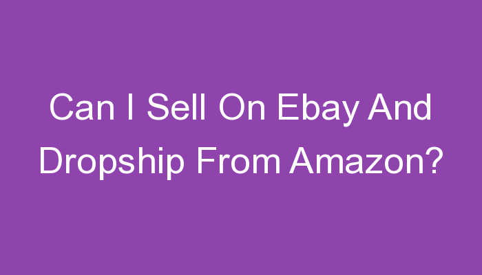 You are currently viewing Can I Sell On Ebay And Dropship From Amazon?