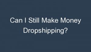 Read more about the article Can I Still Make Money Dropshipping?