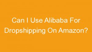 Read more about the article Can I Use Alibaba For Dropshipping On Amazon?