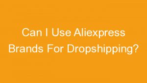 Read more about the article Can I Use Aliexpress Brands For Dropshipping?