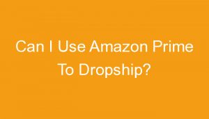 Read more about the article Can I Use Amazon Prime To Dropship?