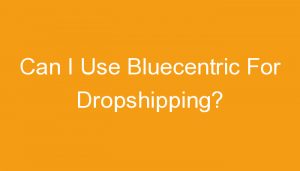 Read more about the article Can I Use Bluecentric For Dropshipping?