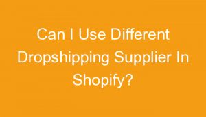 Read more about the article Can I Use Different Dropshipping Supplier In Shopify?
