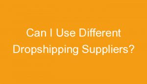 Read more about the article Can I Use Different Dropshipping Suppliers?
