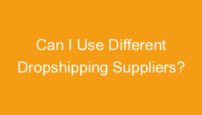 You are currently viewing Can I Use Different Dropshipping Suppliers?