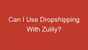 Read more about the article Can I Use Dropshipping With Zulily?