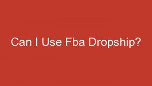 Read more about the article Can I Use Fba Dropship?